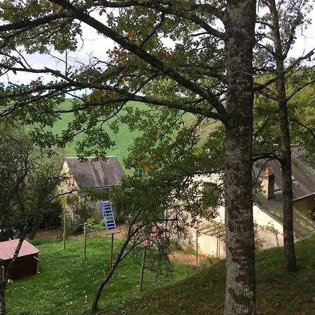 Tiny House Avec Vue Et Jacuzzi